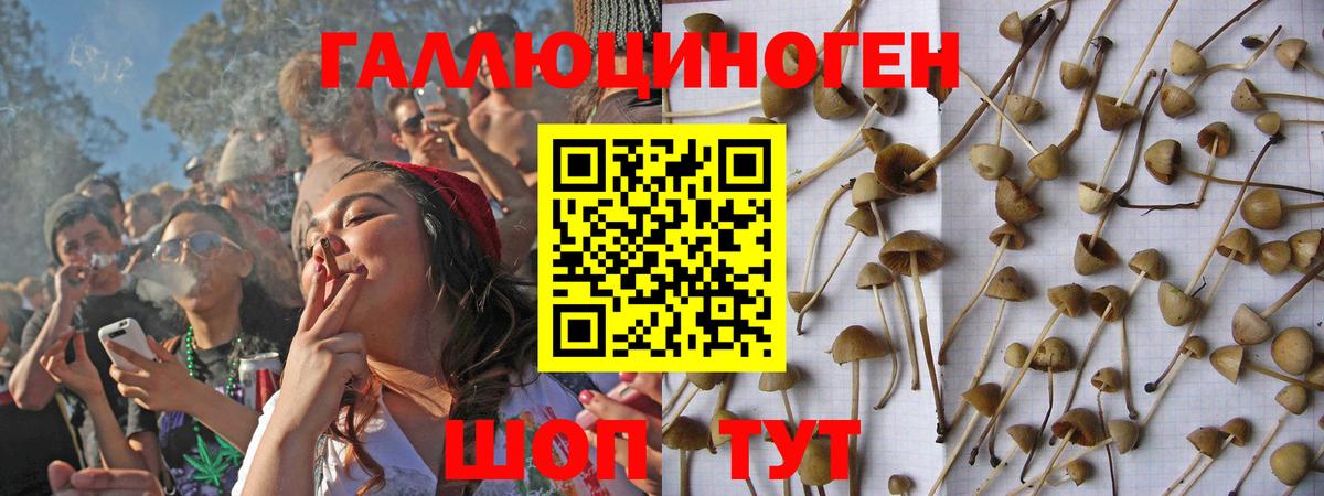 Галлюциногенные грибы Magic Shrooms  дарнет шоп  Амурск  Вход с VPN  Галлюциногенные грибы прущие грибы 